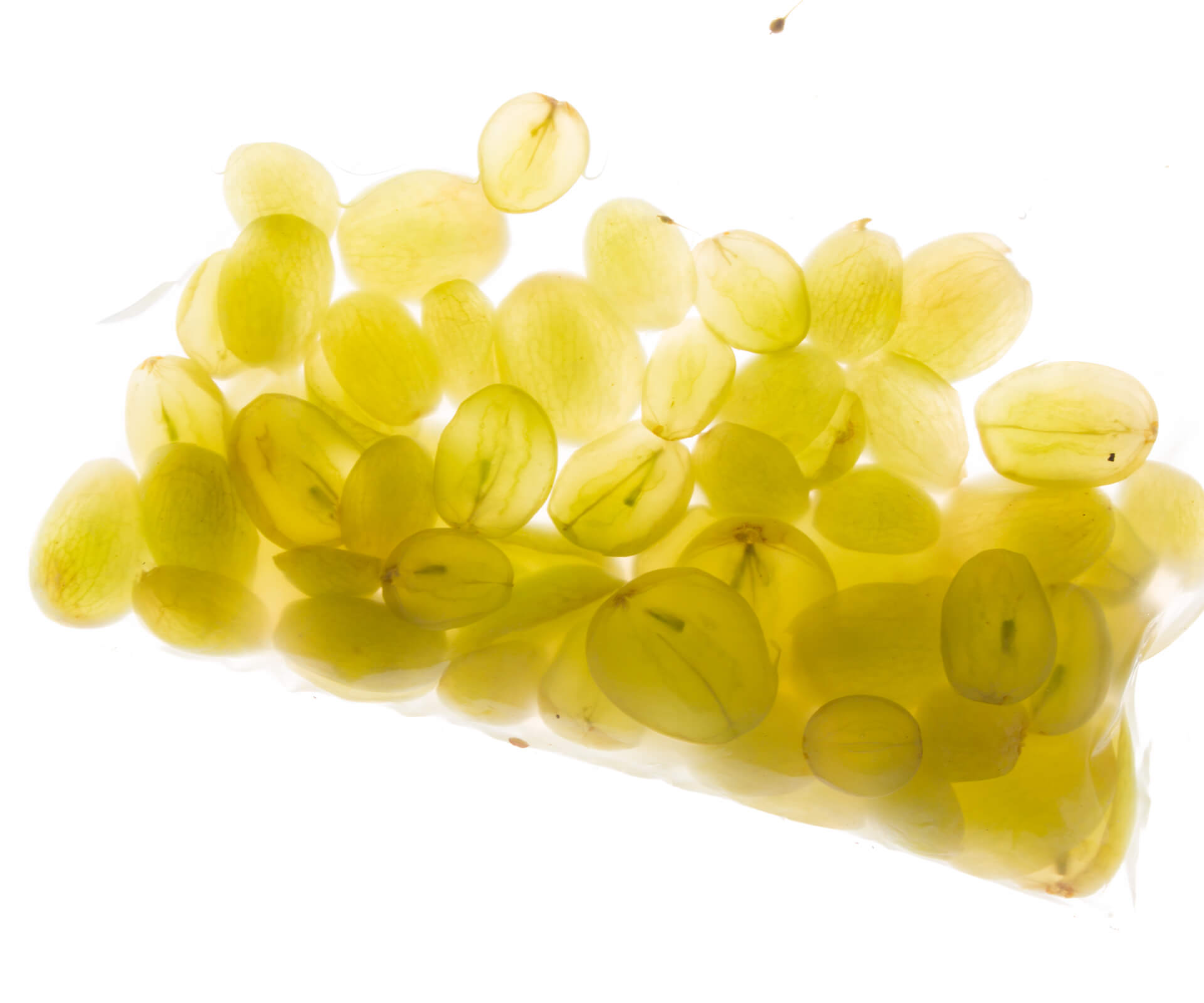 5 gefermenteerde componenten voor beginners
