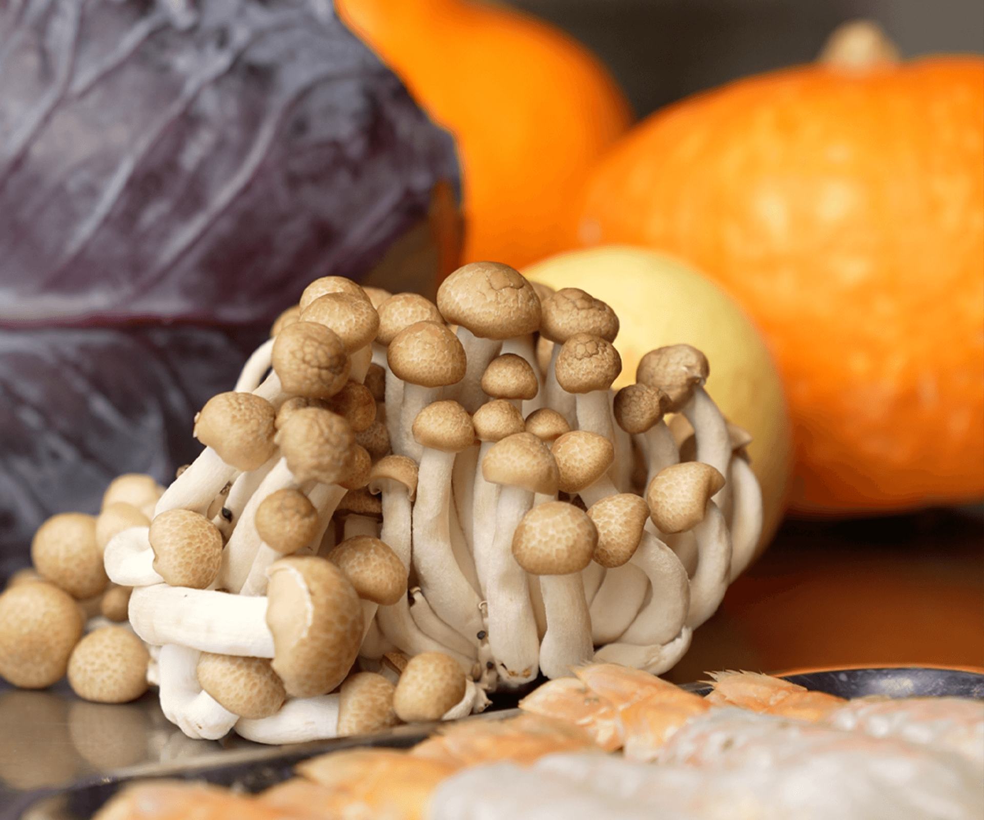 De herfst op je bord: seizoensproducten in september, oktober en november