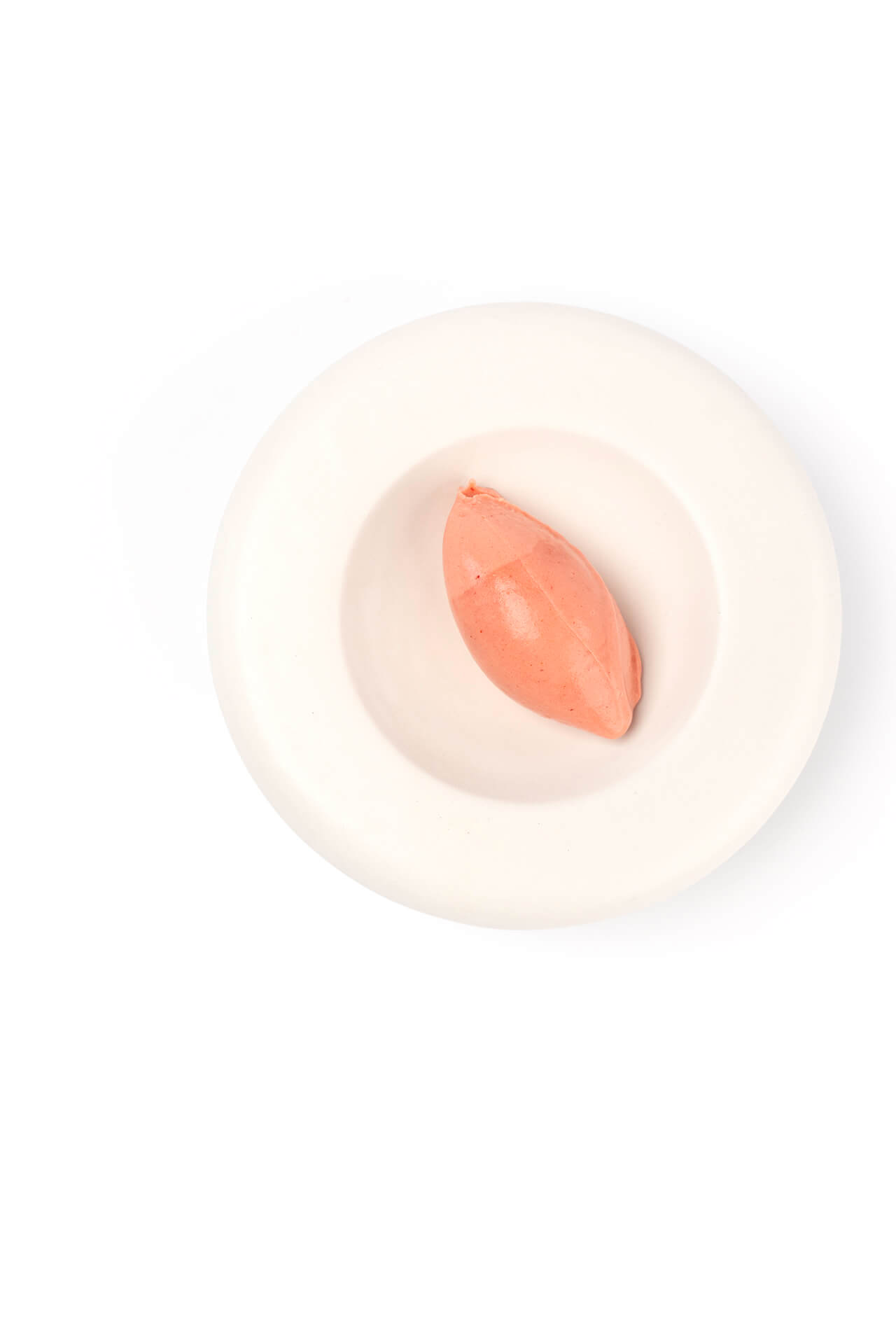 Bosaardbeiensorbet | Gastronomixs