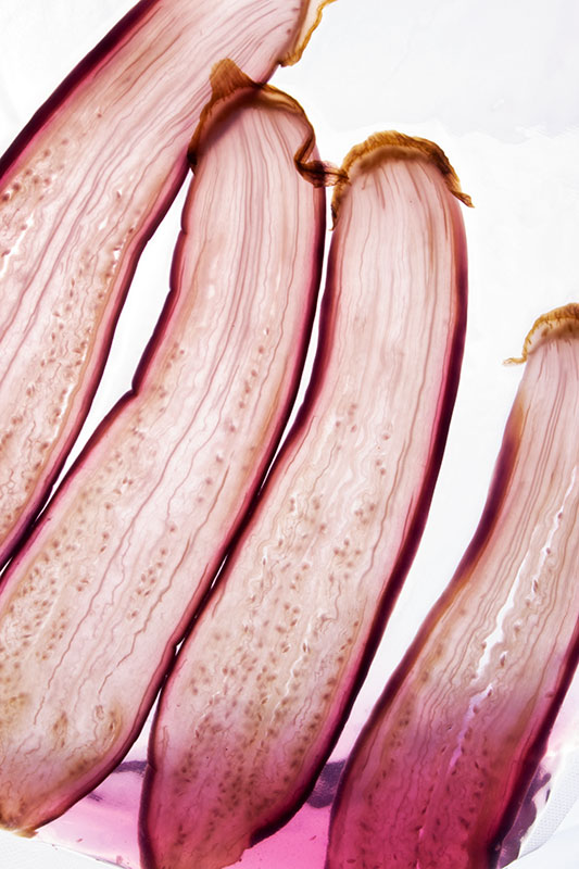 Japanese Aubergine Preserved In A Basil Pickle Gastronomixs