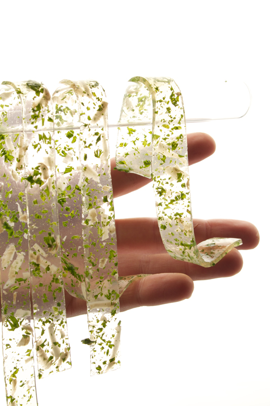 Mushroom Jelly Gastronomixs