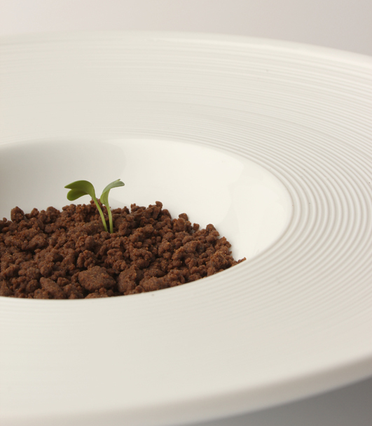 Eetbare aarde van paddenstoelen recept, getest door chefs