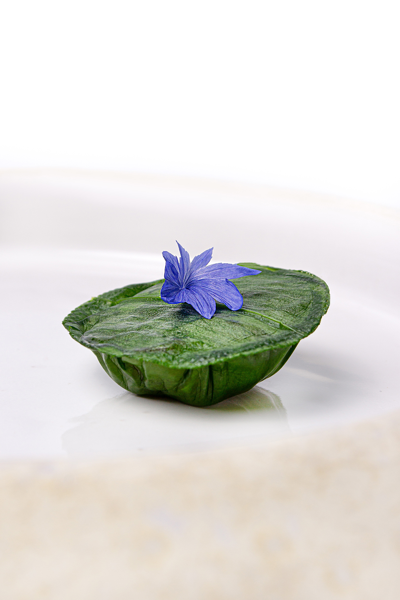 Ramson “Ravioli” With Grey Shrimp | Gastronomixs
