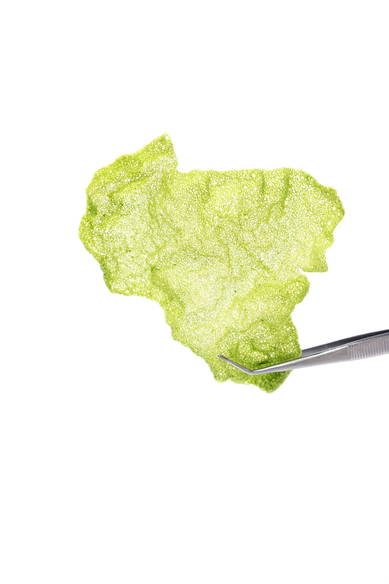 Dille kroepoek | Gastronomixs