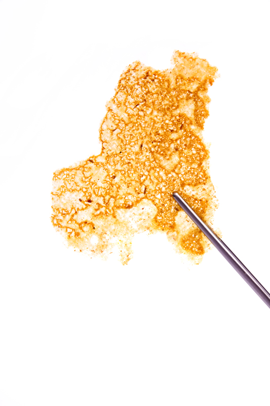 Duck skin crisps | Gastronomixs