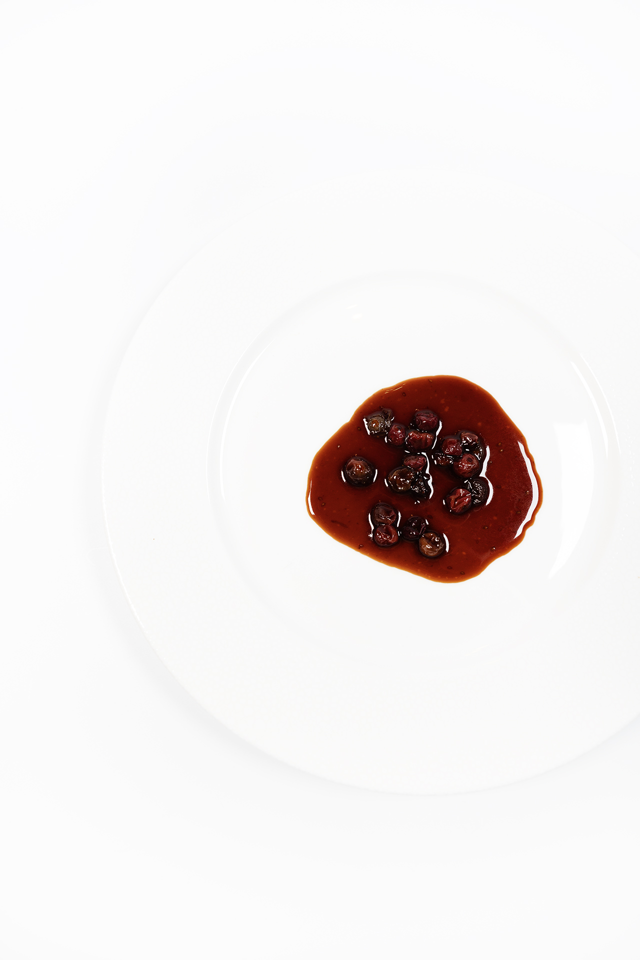 Duck gravy with cranberries and star anise | Gastronomixs
