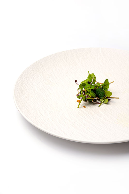 Salade van waterkers recept, getest door chefs