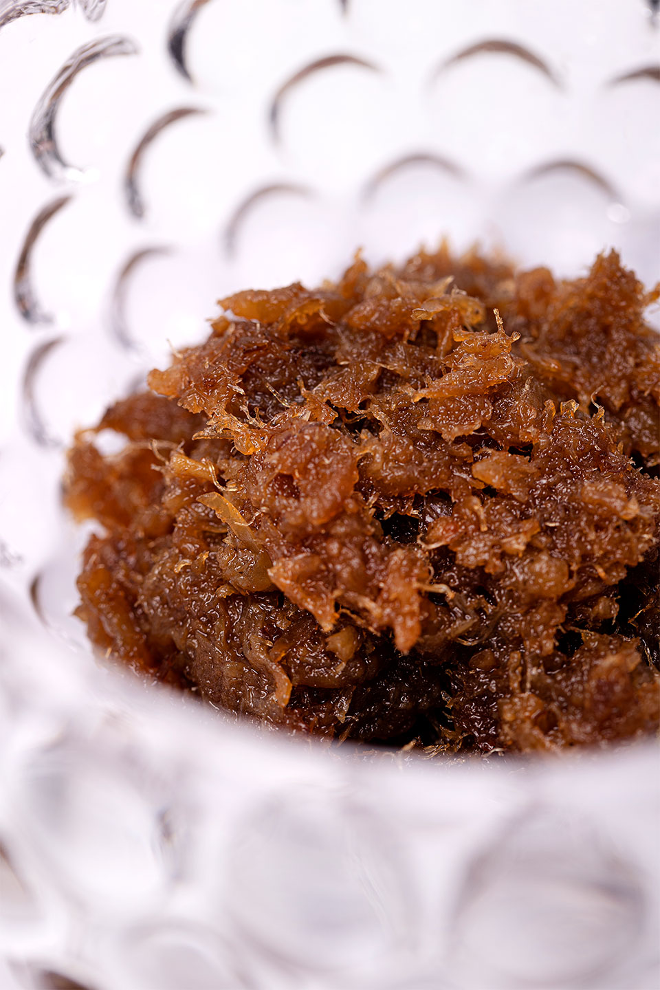 Hollandse garnalen XO | Gastronomixs