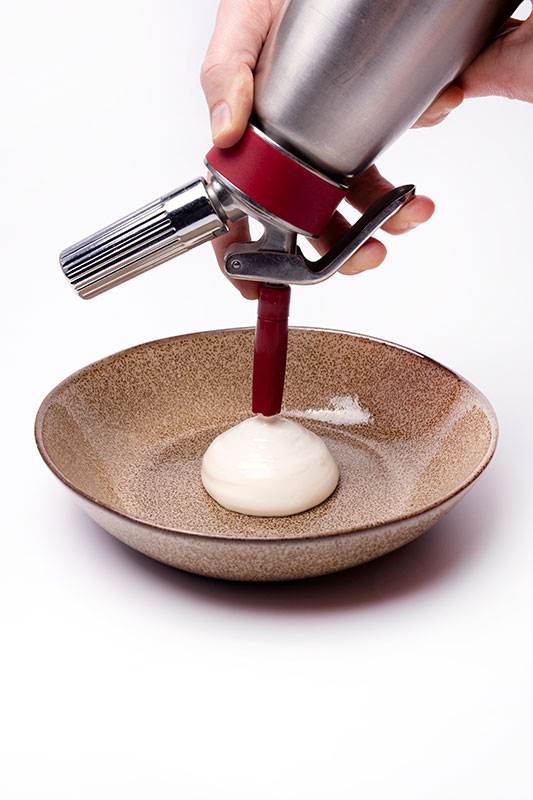 Manchego foam Gastronomixs