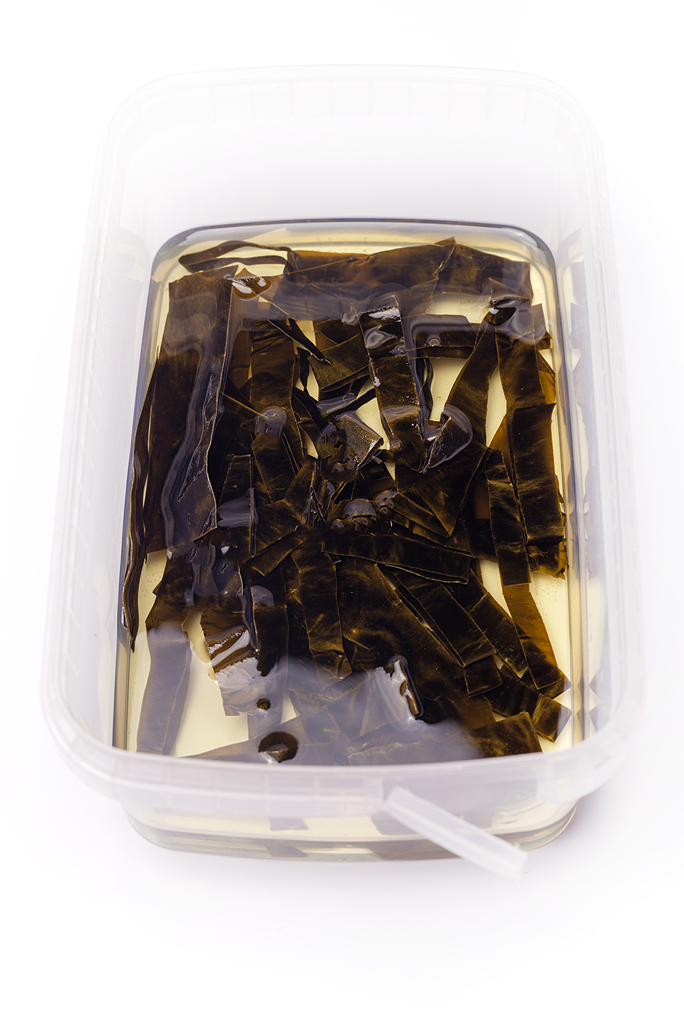 Kombu Oil | Gastronomixs