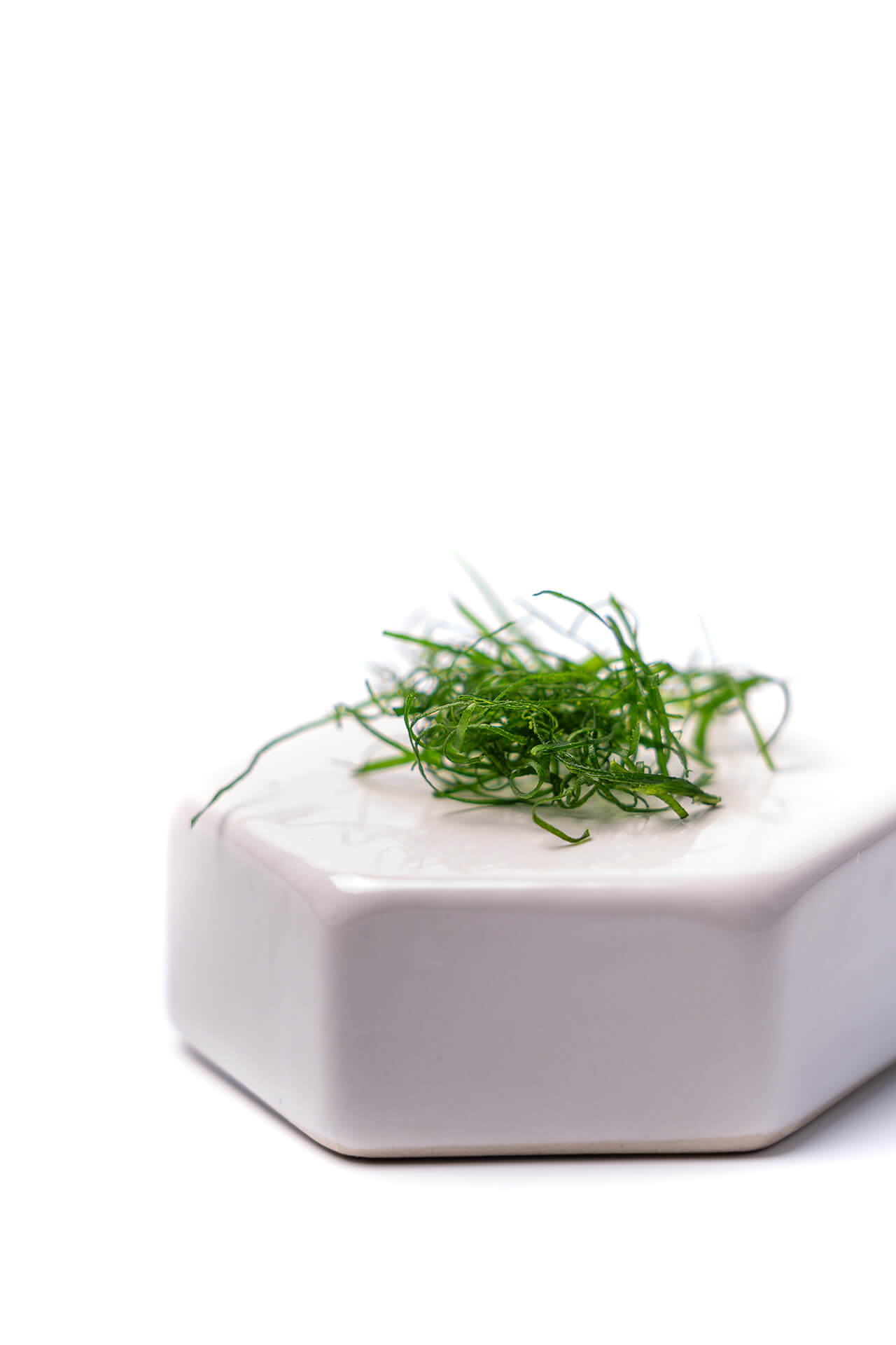 Gefrituurde limoenblad chiffonade | Gastronomixs