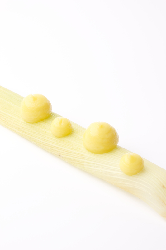 Corn Gel Gastronomixs