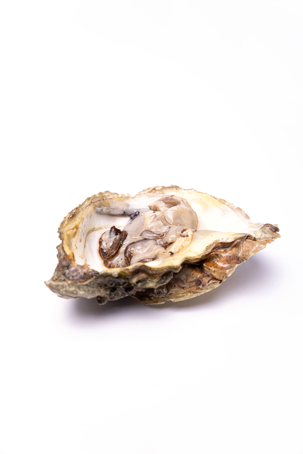 Smoked Oyster | Gastronomixs