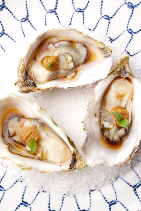 Oysters With Soy And Jalapeño | Gastronomixs