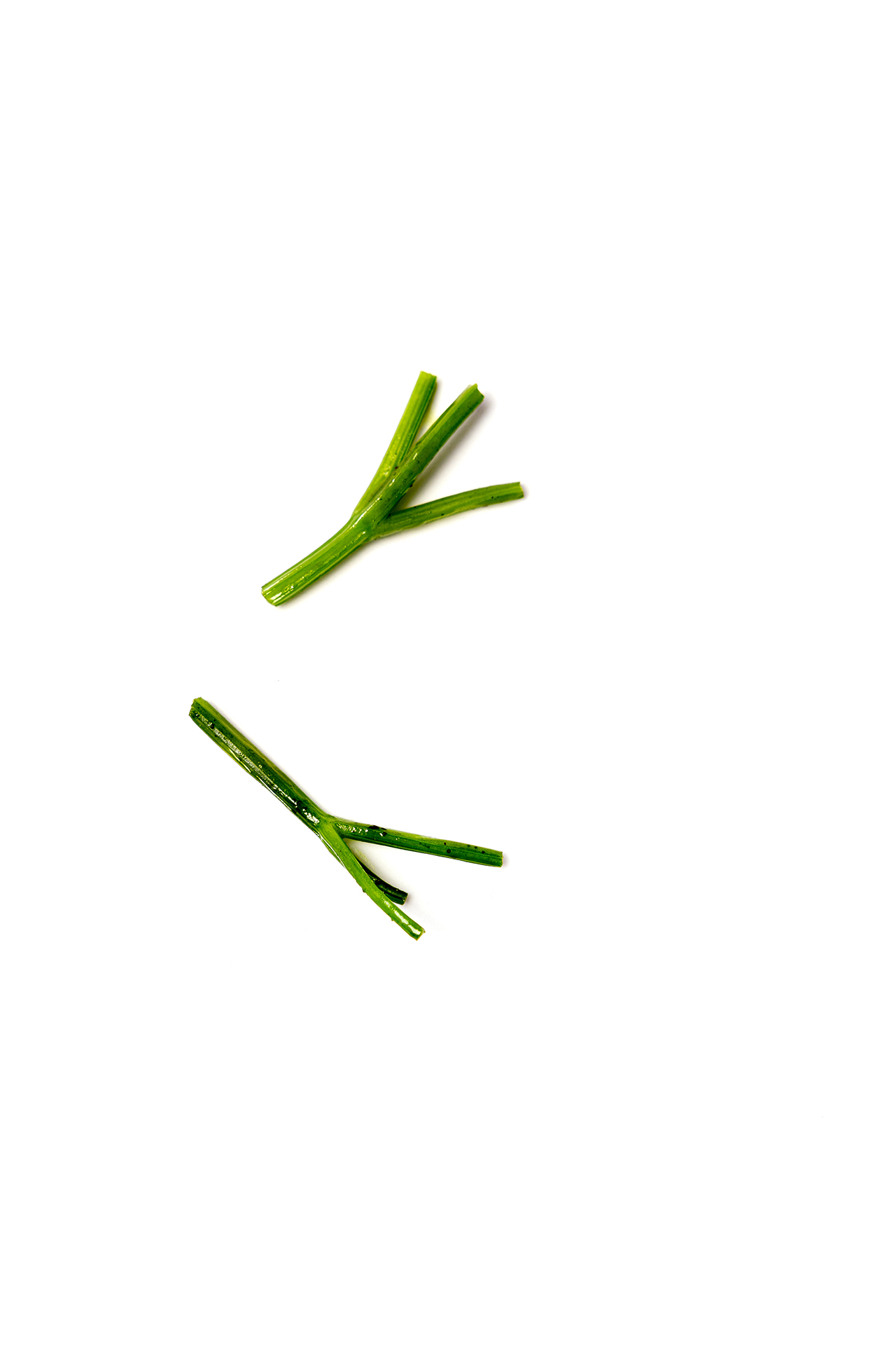 Braised Parsley Stems Gastronomixs