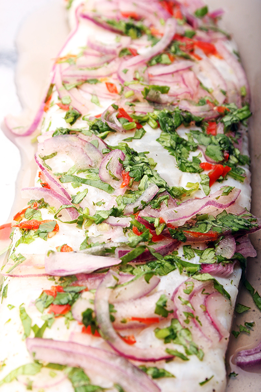 Haddock Ceviche Gastronomixs