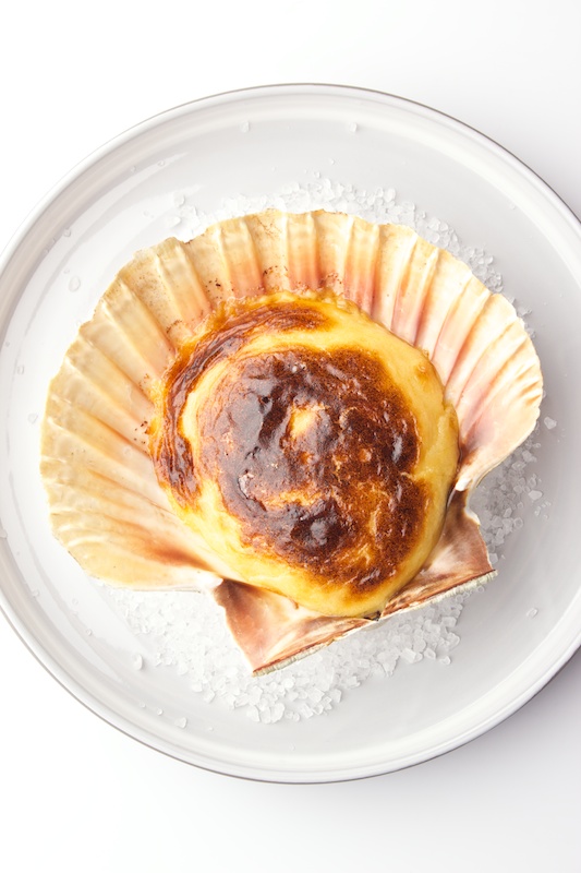 Scallops Gratineed With Hollandaise Sauce Gastronomixs