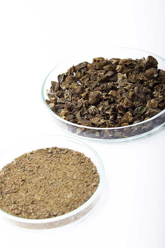 Dried Capers Gastronomixs