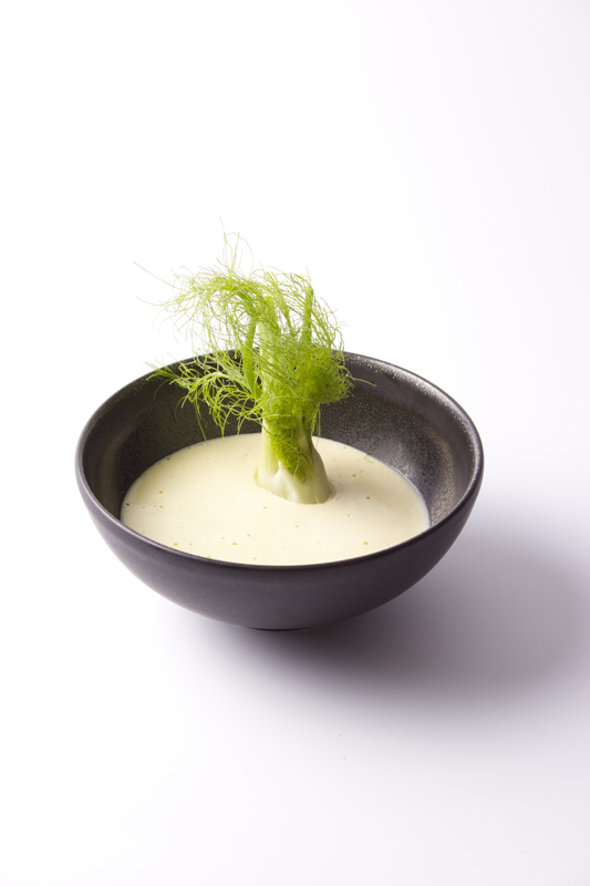 Fennel Mousse Gastronomixs