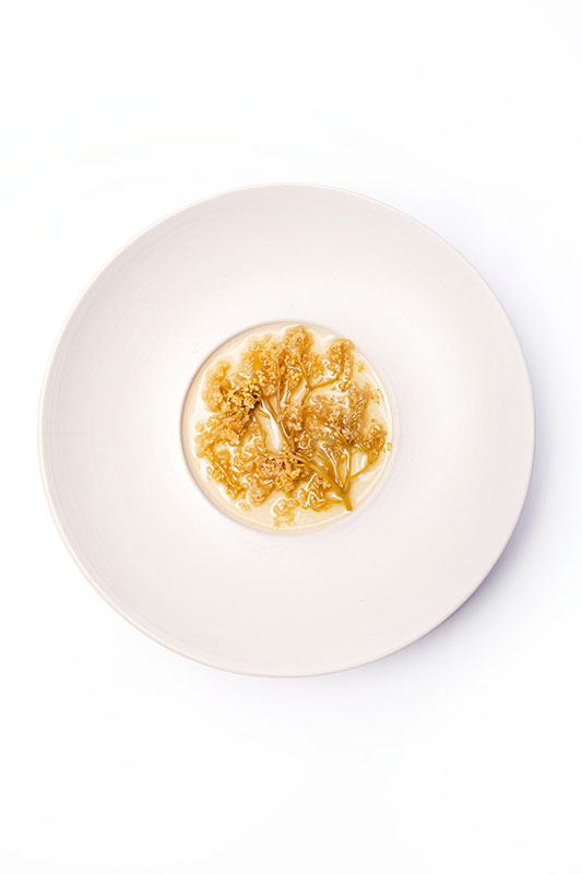 Vlierbloesempickle | Gastronomixs