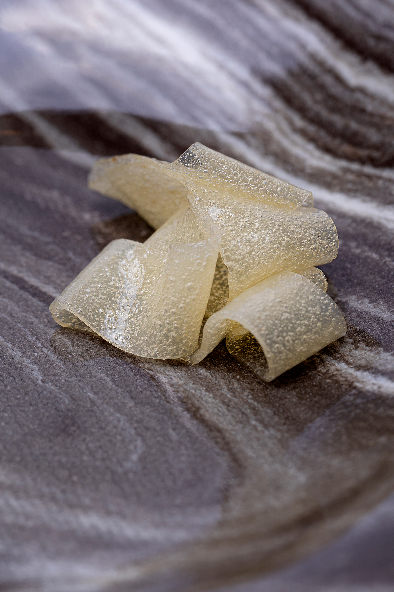 Fruitleer van witte bessen | Gastronomixs