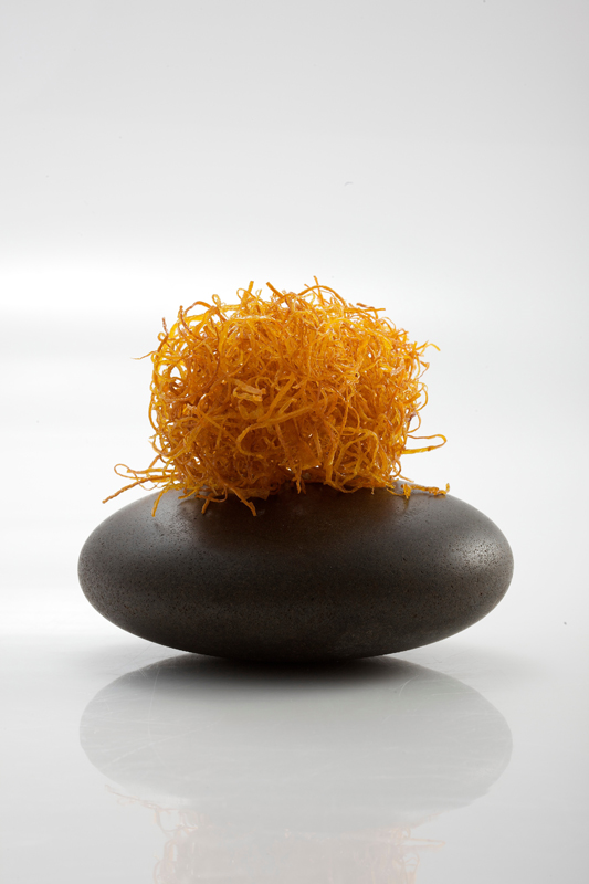 Deep Fried Carrots Gastronomixs