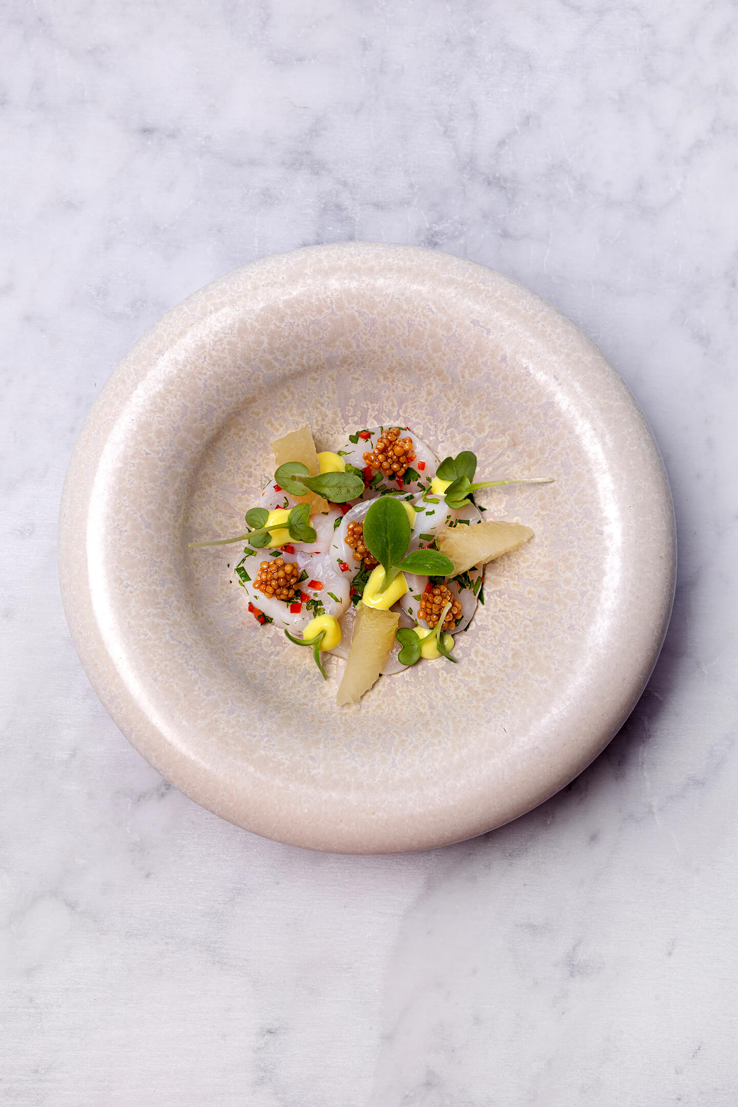 Ceviche of scallop with citrus segments, vadouvan crème and mustard seeds
