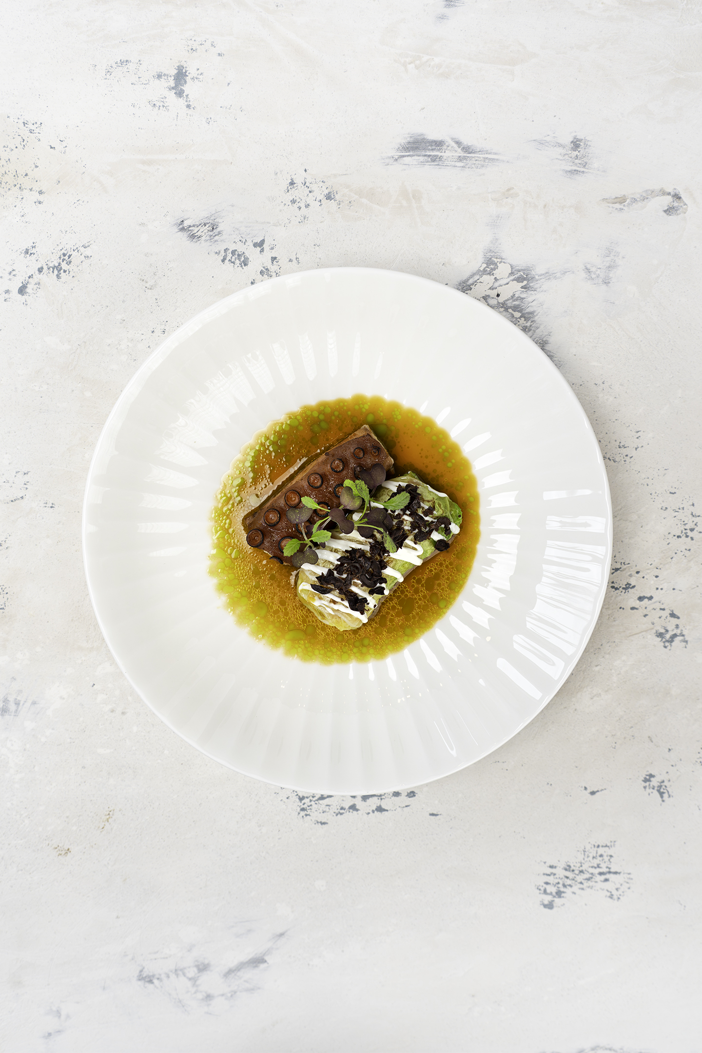 Gebrande octopus met dolma van groene kool en tomatenrijst en een dressing van geroosterde tomaat en oregano