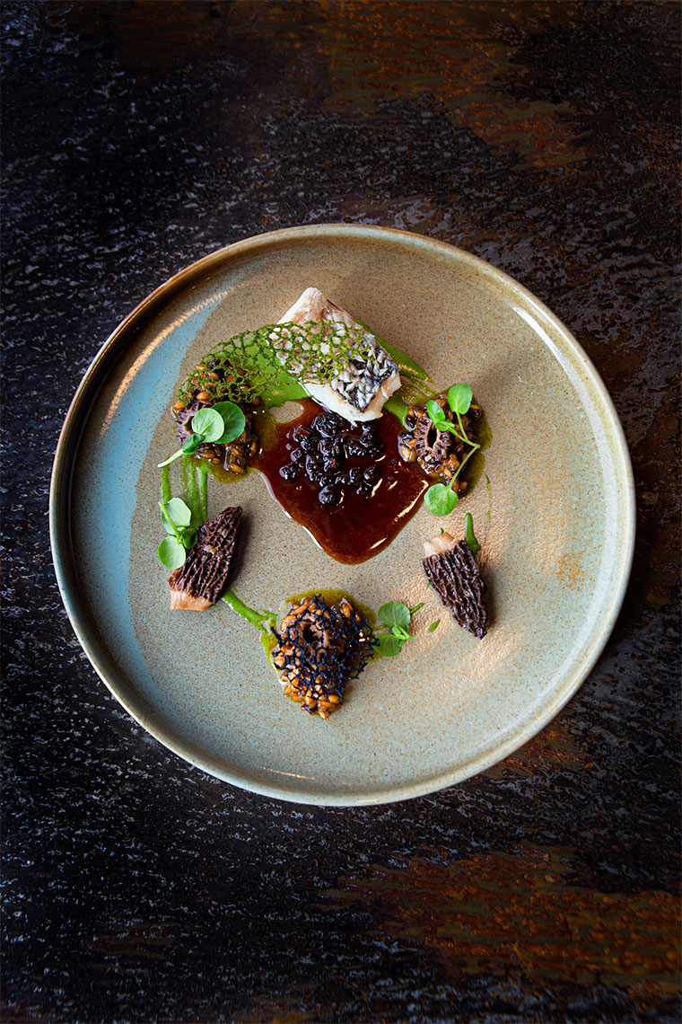 Sea bass with puffed scales, fish jus, morels, and risotto Gastronomixs