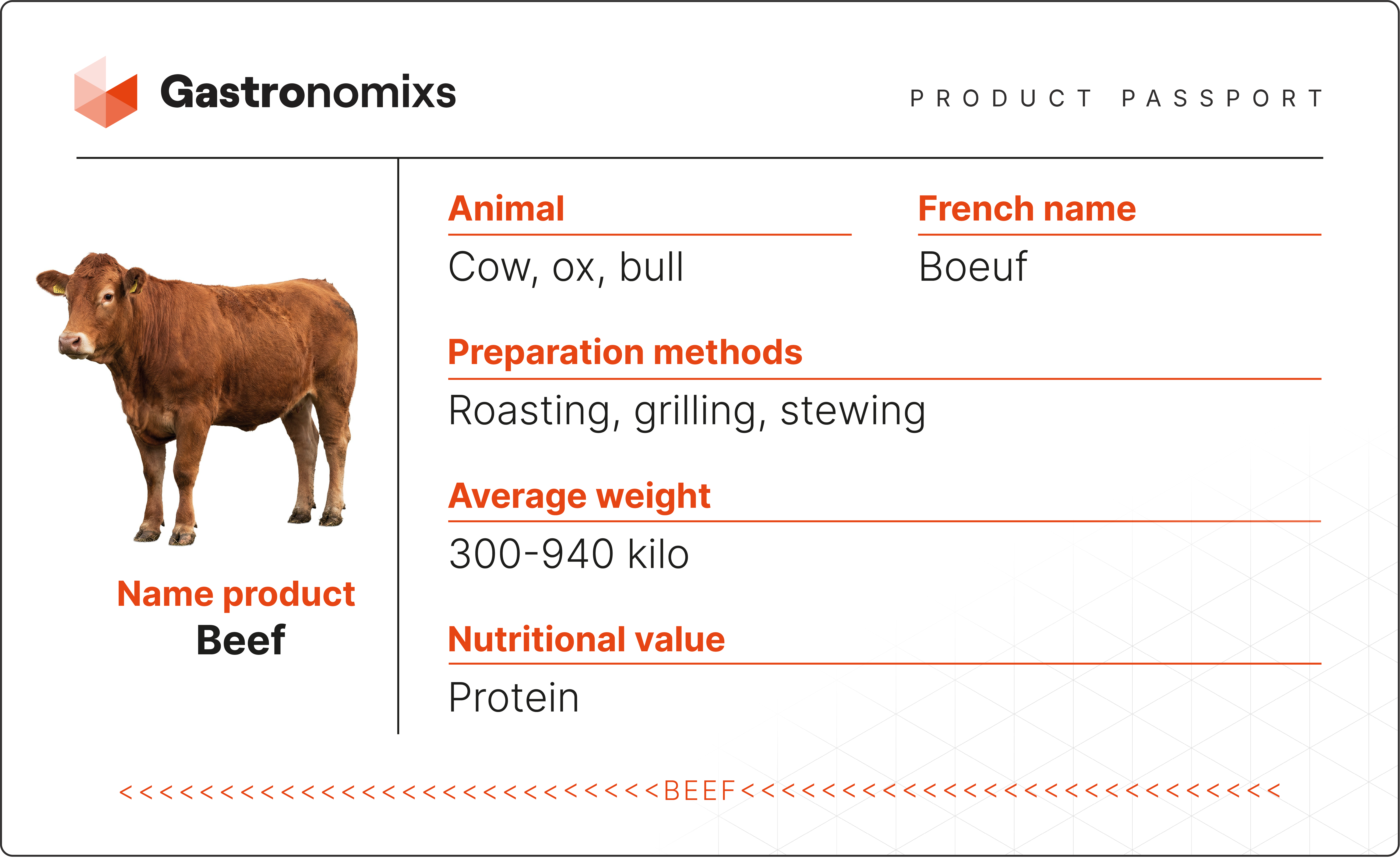 Beef - Product knowledge for chefs | Gastronomixs